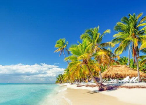 Excursión de día completo en la isla Saona