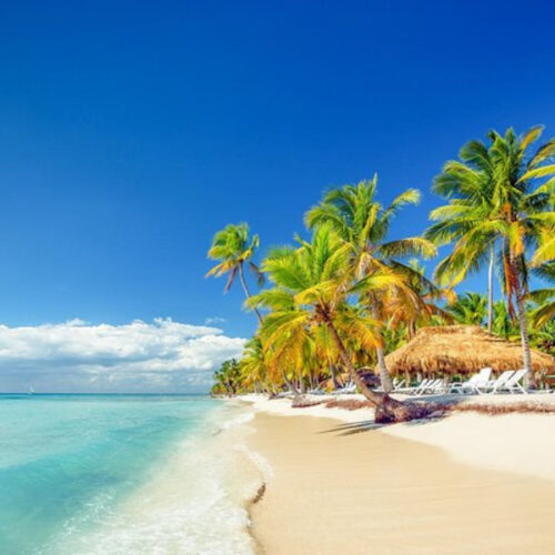 Excursión de día completo en la isla Saona