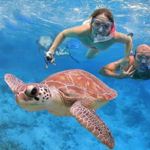Tour Isla Catalina & Snorkling Día Completo