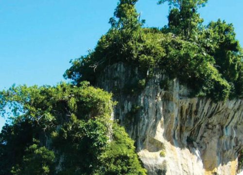 Excursión al Parque Nacional Los Haitises