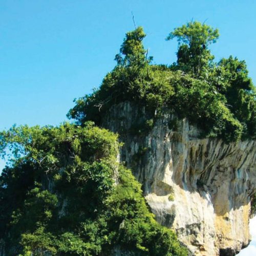 Excursión al Parque Nacional Los Haitises