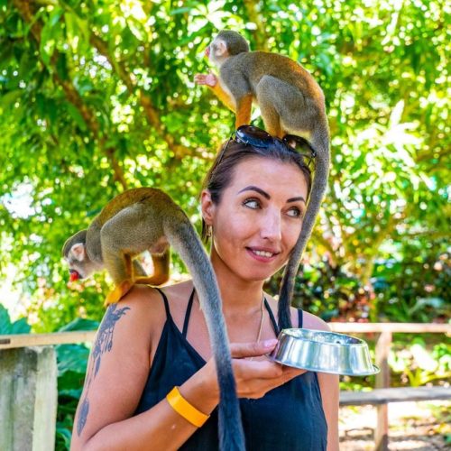 Tour de un dia completo a Monkeyland y la plantacion