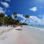 Playa de arena blanca y aguas cristalinas en Isla Saona, República Dominicana