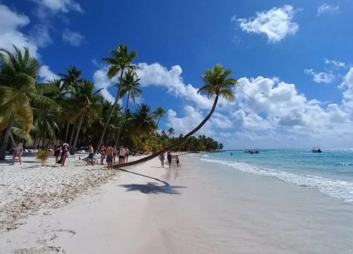 Isla Saona: Un destino natural de ensueño
