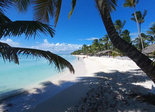 Isla Saona: Un Día de Playa, Sol y Diversión