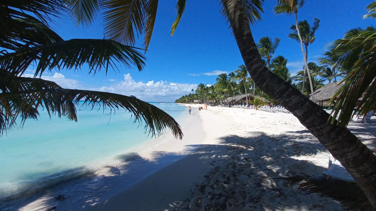 Isla Saona: Un Día de Playa, Sol y Diversión