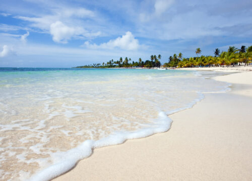 Excursión a la isla Saona: ¡Descubre el paraíso!