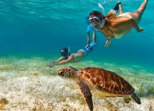 ¿Cuáles son las actividades que se pueden realizar en Isla Saona?