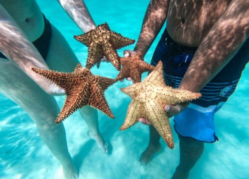 ¿Qué es la piscina natural de la isla Saona?