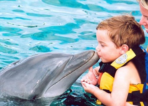 Dolphin Island Punta Cana