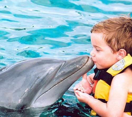 Dolphin Island Punta Cana